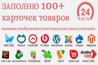 Заполню 100 карточек товаров