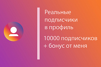 Подписчики в Instagram