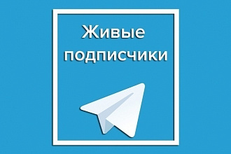 Добавлю 1500 подписчиков в телеграмм