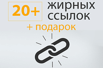 20+ вечных трастовых ссылок с высокими показателями + подарок