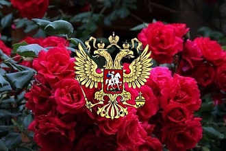 Создам красивый логотип