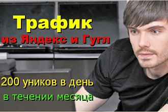 Трафик на Ваши сайты, более 200 уников в день, в течение целого месяца