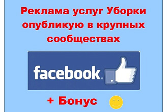 Фейсбук уборка - Опубликую инфо пост в ленте крупных живых страниц