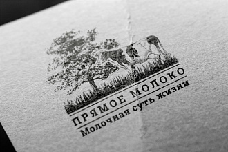 Разработаю логотип