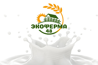 Разработка логотипа
