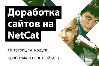 Доработка сайта на NetCat