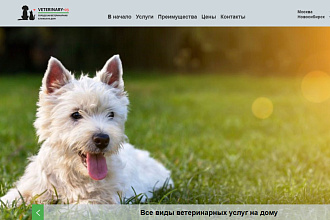 Разработка сайта