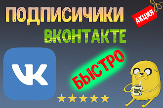 Подписчики Вконтакте