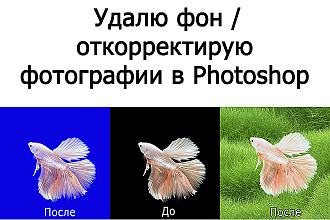 Удалю фон и откорректирую фотографии в Photoshop