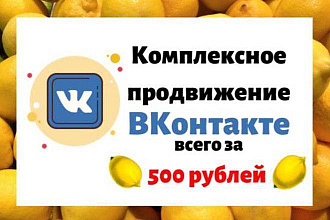 Комплексное продвижение Вконтакте всего за 500 рублей