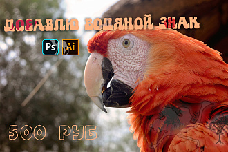 Watermark, водяной знак