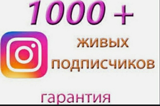 Раскрутка подписчиков инстаграм