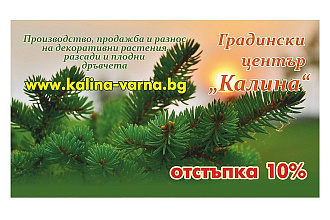 Дизайн визитки