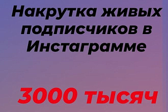 Накрутка подписчиков в Инстаграмм