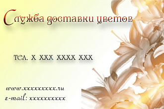 Сделаю 3 варианта макета визитки