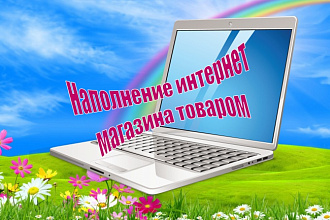 Наполнение интернет-магазина товаром