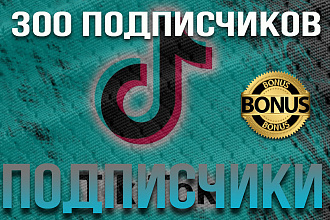 300 подписчиков в TikTok