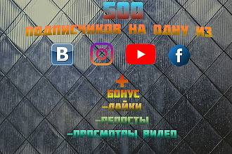 500 подписок на соц. сети