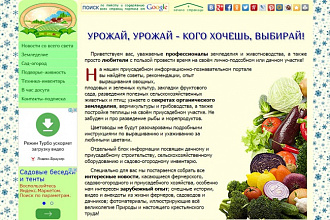 Напишу статью и размещу на своём сайте