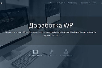 Внесу правки на сайт Wordpress