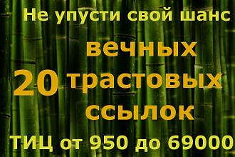 Размещу ссылки на 20 трастовых сайтах, ТИЦ от 950 до 69000