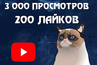 Приведу 3 тысячи просмотров с хорошим удержанием