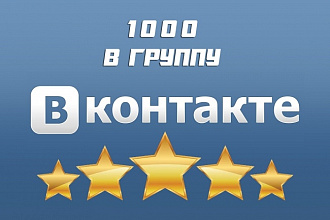 1000 участников в группу Вконтакте