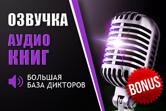 Диктор. Озвучка аудиокниг женским, мужским голосами. Озвучивание книг
