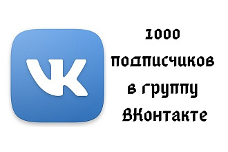 1000 подписчиков Вконтакте на страницу или группу