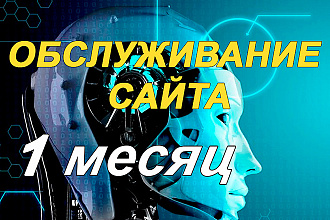 Возьму Ваш Сайт WordPress на Длительное обслуживание