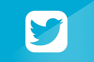 1700 подписчиков ваш аккаунт Twitter