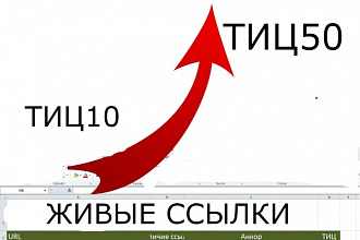 Размещение 300 вечных ссылок на трастовых сайтах с ИКС 10 и больше