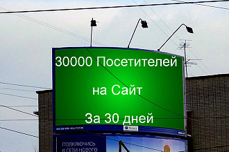 30000 Уникальных посетителей на сайт в течение 30 дней