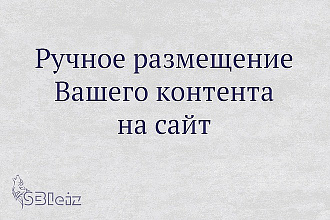 Ручное наполнение Вашего сайта контентом - до 20 страниц