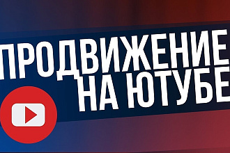 1000 + просмотров ролика на Youtube реальными людьми