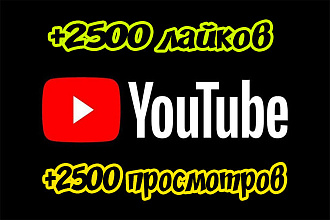 2500 лайков и 2500 просмотров на Youtube с гарантией