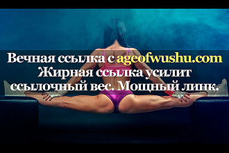 Уникальная ссылка с площадки ageofwushu.com