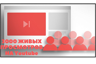 3000 живых просмотров на Youtube