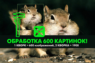 Изменю размер изображений для вашего сайта или магазина. 600 фото