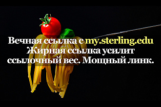Крутая ссылка с сайта my. sterling.edu