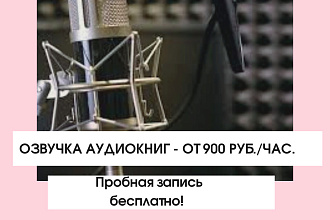 Профессиональная озвучка книг