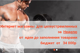 Интернет магазин под ключ