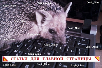 SEO статьи на Главную страницу