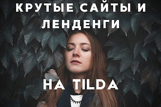 Создам сайт на Tilda