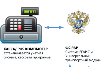 Настройка ЕГАИС в 1С