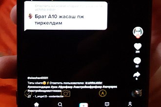 800 живых подписчиков в Tik Tok