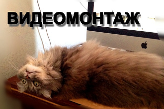 Видео монтаж Вашего видеоролика