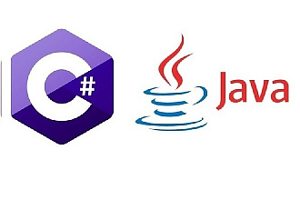 Разработка приложений на C#, Java
