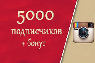 5000 подписчиков в Instagram Бонус 5000 лайков