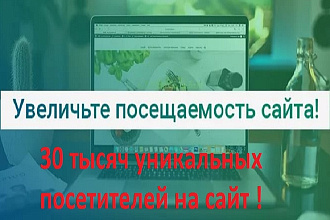 30 тысяч уникальных посетителей на сайт за 6 дней